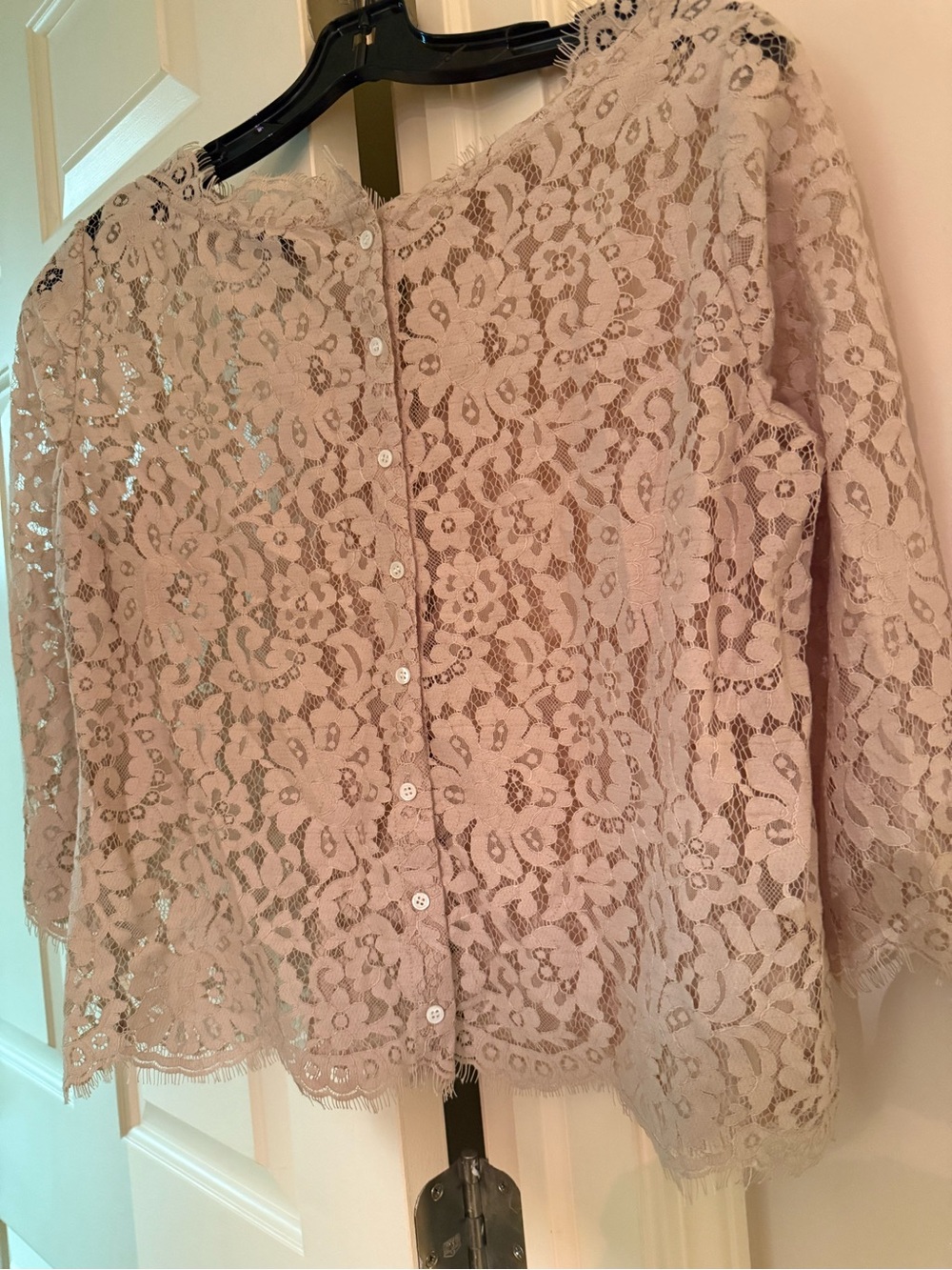 Joie Dusty Pink Floral Lace Button-Down Blouse